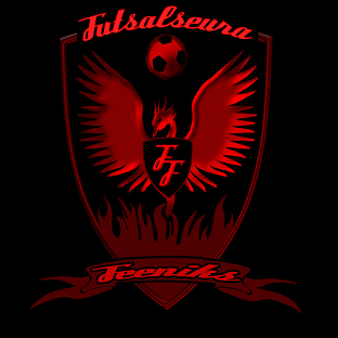 Futsalseura Feeniks